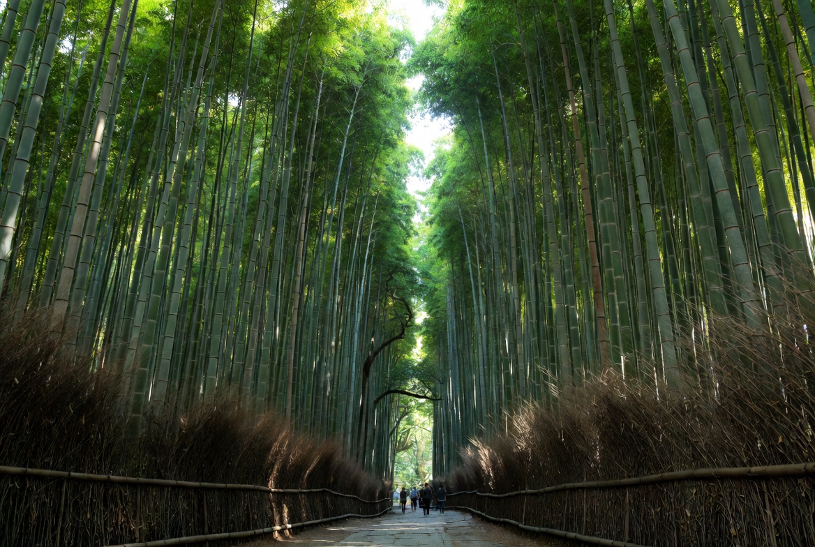 Arashiyama Bamboo Grove & Western Kyoto: Complete Guide for First-Timers from LA (2026)